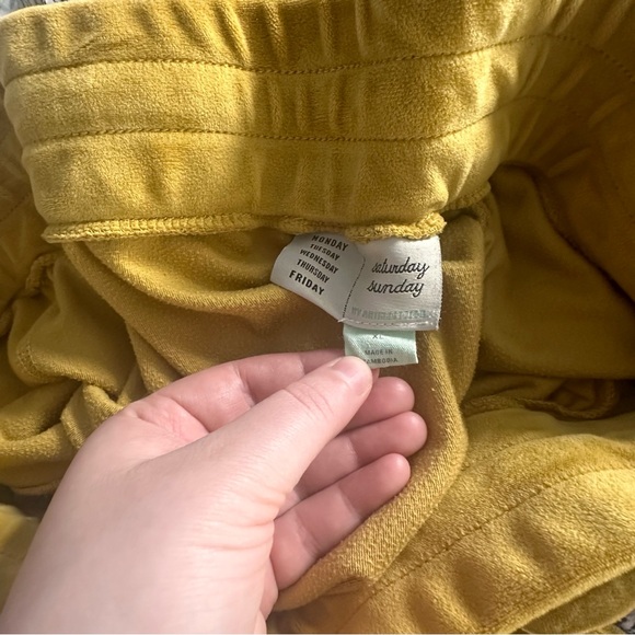 Saturdays Sundays by Anthropologie velour Sweatpants. Excellent condition. - Picture 4 of 5